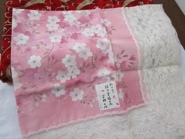 F [Xt G| sNn gp 64cm  ̎ʐ^7