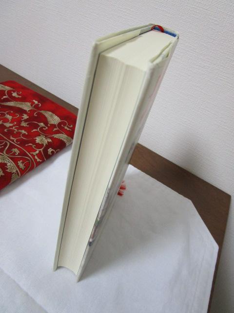 �k�̊X���� ���� ���c�N�v �̎ʐ^4