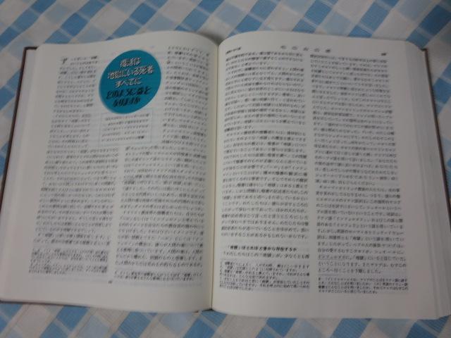 ���݂̂̓� ���{1973�N ���݂̂̓��������q���� �̎ʐ^5