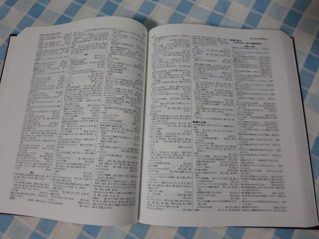 ���݂̂̓� �o�ŕ����� 1986-2000 �̎ʐ^5