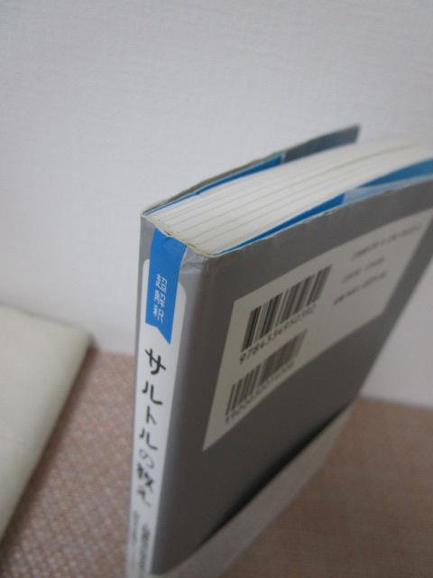 ������ �T���g���̋��� ��v���q ���ѕt���E���� �̎ʐ^3