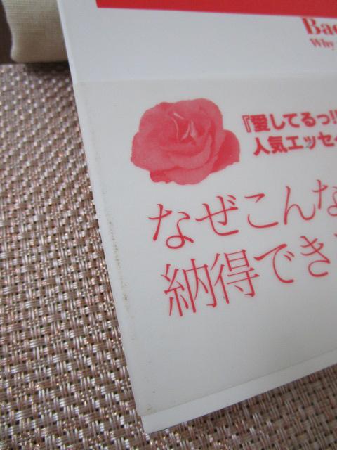 �l�͂Ȃ��y�E�����W�����Ɏ䂩���̂� 1&2 �ѕt��2���Z�b�g �N���� �����ɏ��� �̎ʐ^2