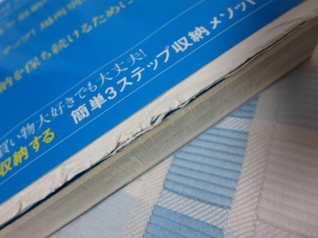 ܂o11[̖@  bq ̎ʐ^3