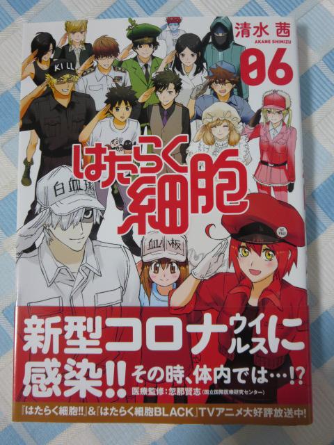 �͂��炭�זE 6�� (�V���E�X�R�~�b�N�X) ���� �� ���őѕt�� �̎ʐ^1