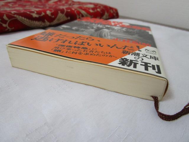 ѕt  ASIAN JAPANESE 1 ыI V ̎ʐ^6