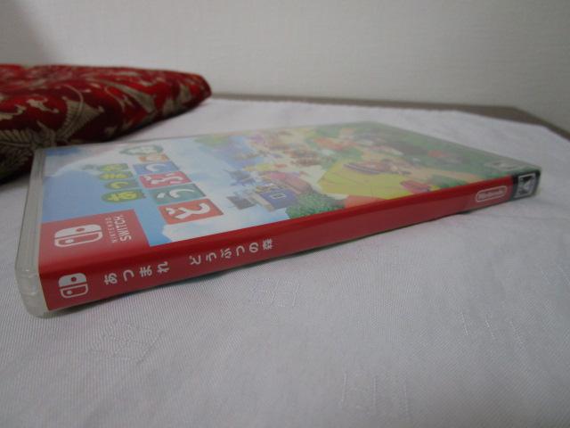 Nintendo Switch\tg ܂ ǂԂ̐X ̎ʐ^3
