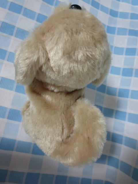 C sbR[l go[ drœʂ ̎ʐ^3