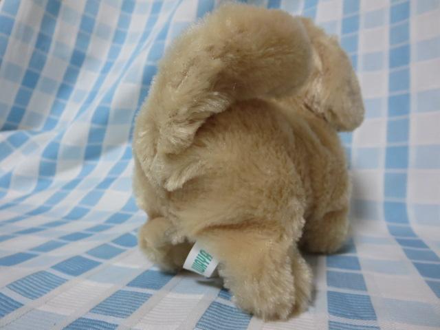 C sbR[l go[ drœʂ ̎ʐ^5