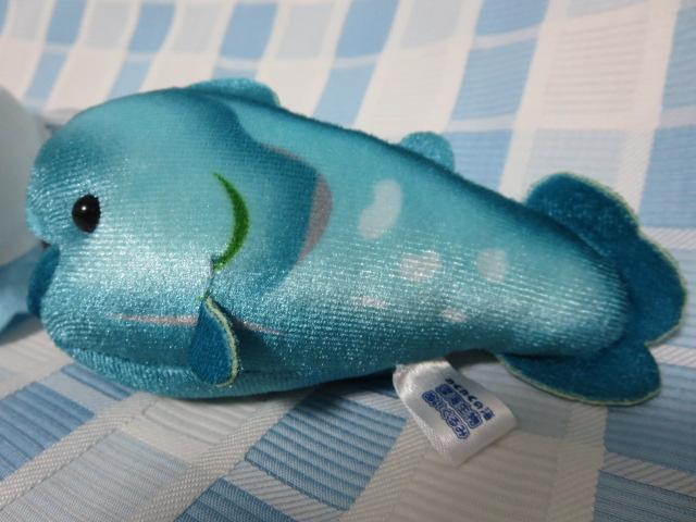 �킭�킭�̊C �[�C�����ʂ������ 2��Z�b�g �̎ʐ^3