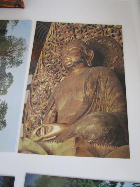 g @P G͂ 8 gp ̎ʐ^5