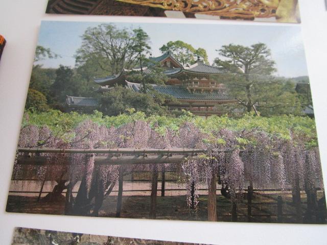 g @P G͂ 8 gp ̎ʐ^8