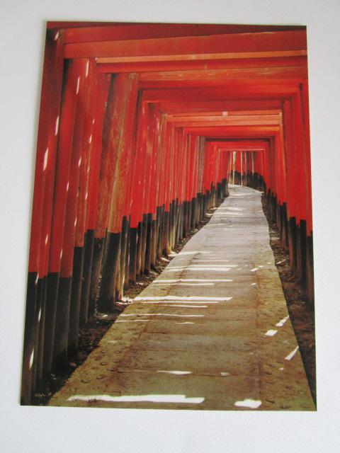 g ב G͂ 7 gp ̎ʐ^4