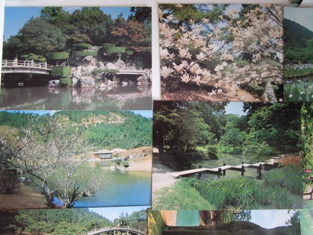 g Iь G͂ 14 gp ̎ʐ^3