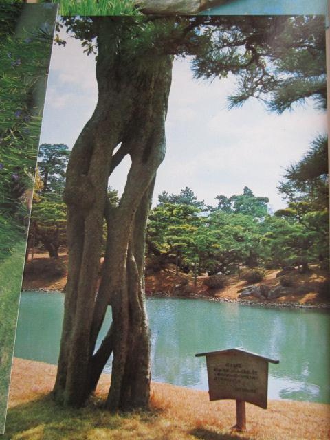 g Iь G͂ 14 gp ̎ʐ^5