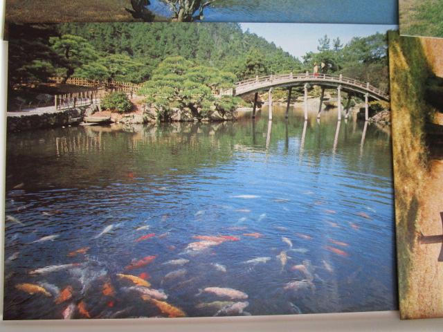 g Iь G͂ 14 gp ̎ʐ^6