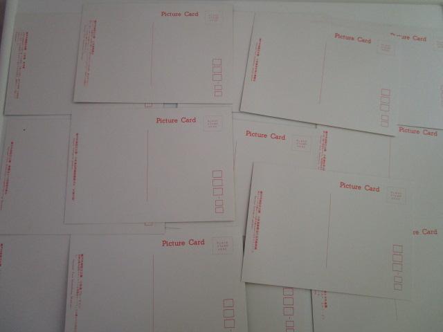 g  ˓C G͂ 14 gp ̎ʐ^6