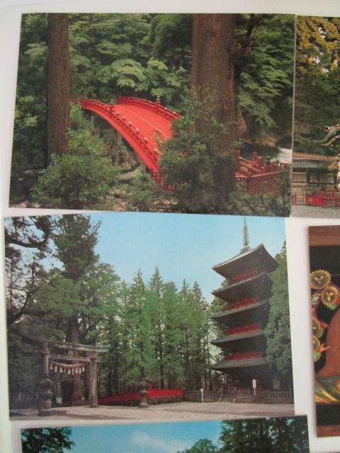 g Ƌ{ G͂ 10 gp ̎ʐ^5