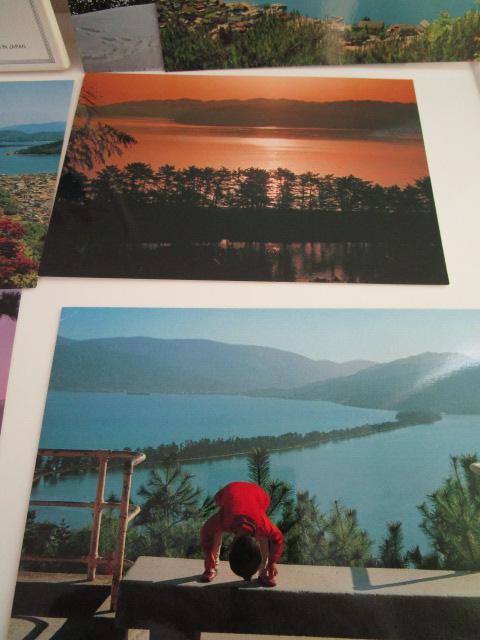 g V̋ ዷp G͂ 12 gp ̎ʐ^5