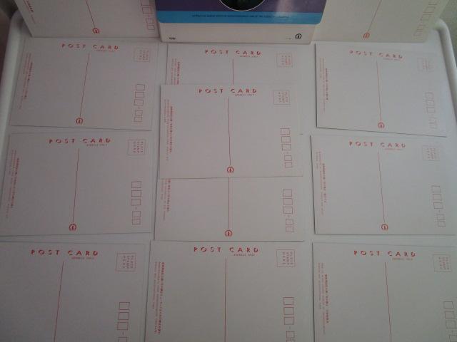 g V̋ ዷp G͂ 12 gp ̎ʐ^7