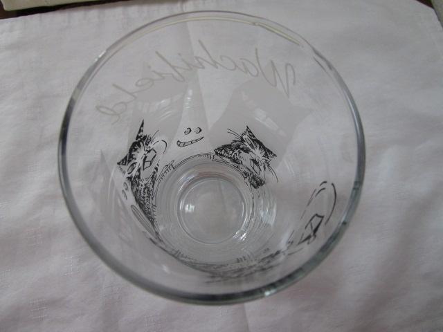 �킿�ӂ��[��� �_���� �g�[���O���X 15cm �����΂� �̎ʐ^5