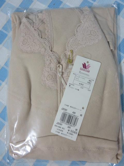 J R[ Remamma}} puL~\[ A95 x[W JZE501 B ̎ʐ^1
