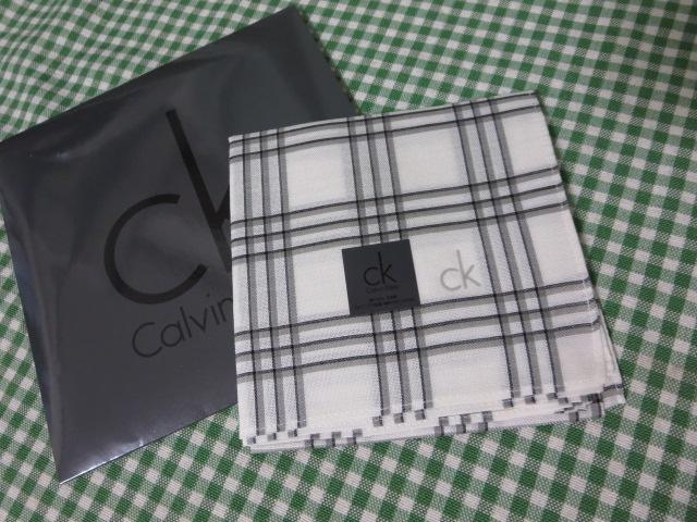 Calvin Klein mg[`FbNnJ` 48cm ̎ʐ^1