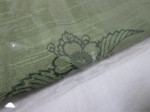 �k�֊� �Ȃ̃}�t���[ �� �� �̎ʐ^5