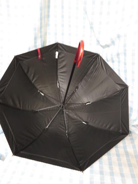 come acrossJNX JpP 53cm ̎ʐ^2
