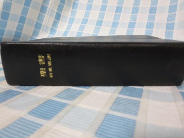 �V���E�� ���� ���݂̂̓��������q���� C �̎ʐ^4