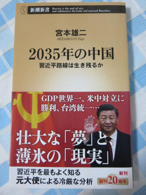 2035N̒ (VV) {{ Y ̎ʐ^1