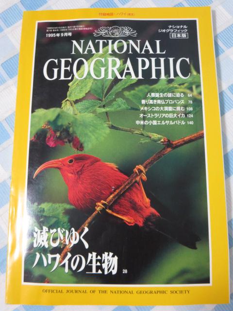 NATIONAL GEOGRAPHIC ナショナルジオグラフィック 1995年9月号 の写真1