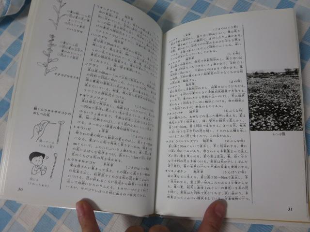 R̐A 1 (WjA} 39) ֎ q ̎ʐ^4