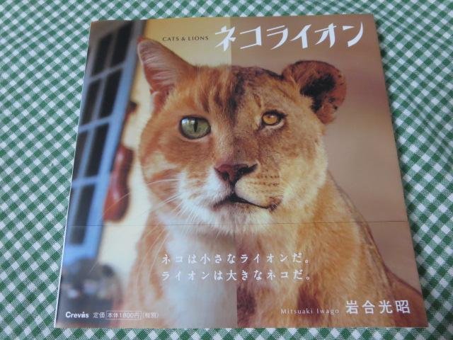 ネコライオン/岩合 光昭 の写真1