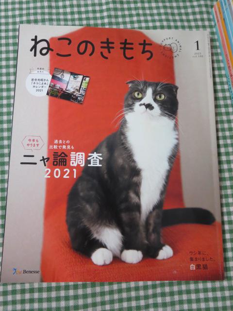ねこのきもち 2021年1-11月号11冊セット の写真3