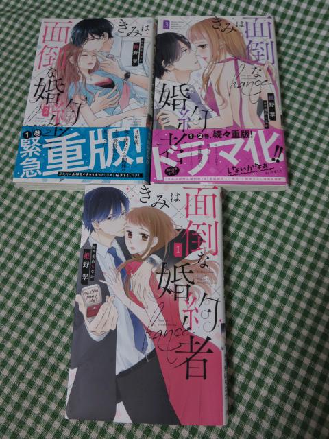 きみは面倒な婚約者 1-3巻セット (白泉社レディースコミックス) 椎野 翠 の写真1