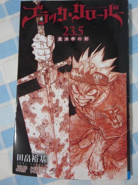 ubNN[o[ @̌ 23.5 ғT ̎ʐ^1