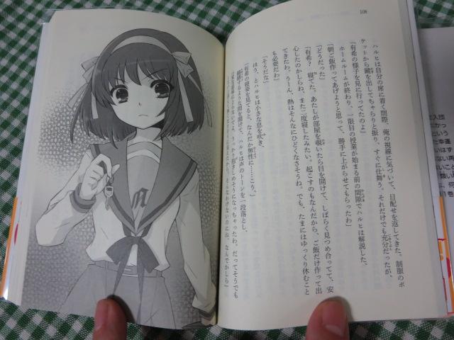 {nq̋  O҃Zbg (pXj[J[) J  ̎ʐ^4