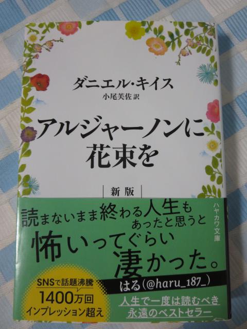 �A���W���[�m���ɉԑ��� �V�� (�n���J������NV) �_�j�G���E�L�C�X/�������� �̎ʐ^1