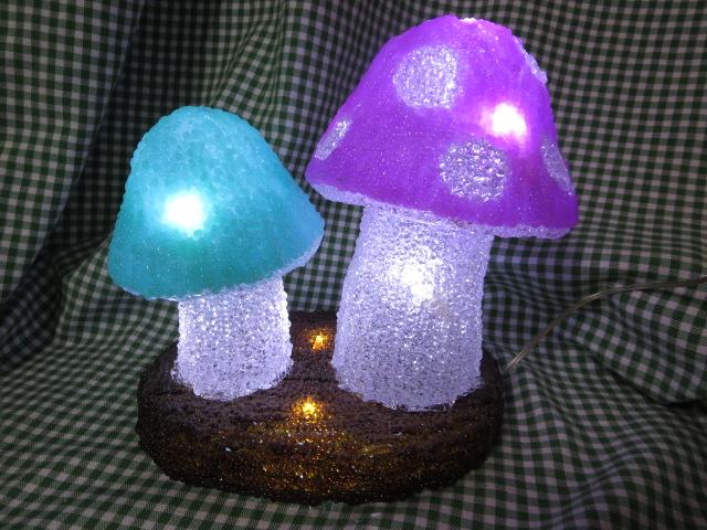LEDNX^LmR 23cm OEhJdl ̎ʐ^2
