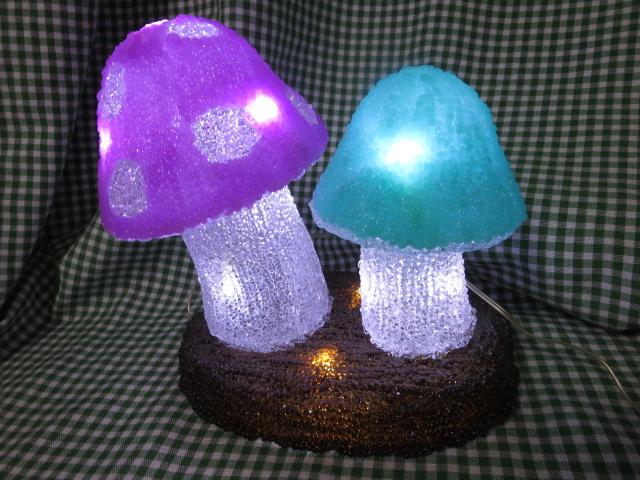 LEDNX^LmR 23cm OEhJdl ̎ʐ^3