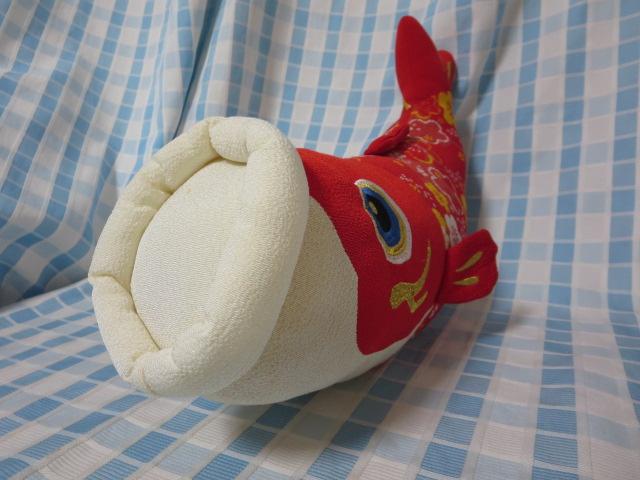k ̂ڂ ʂ  48cm ̎ʐ^3