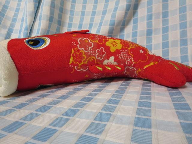 k ̂ڂ ʂ  48cm ̎ʐ^6