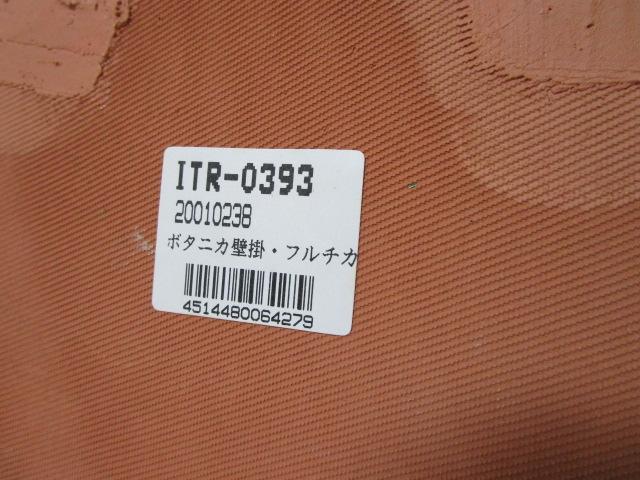 ITALY �{�^�j�J���Ǌ|�� �e���R�b�^�E�X�N�G�A�� 15.5cm ����`���̉� �̎ʐ^6