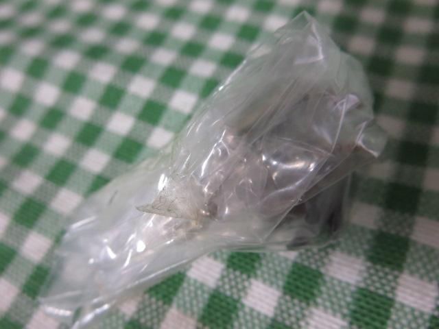 HV TRitBMA{[`F[ 4cm ̎ʐ^3