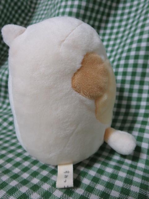 ݂R炵 ˂ ~jʂ 11cm ̎ʐ^3