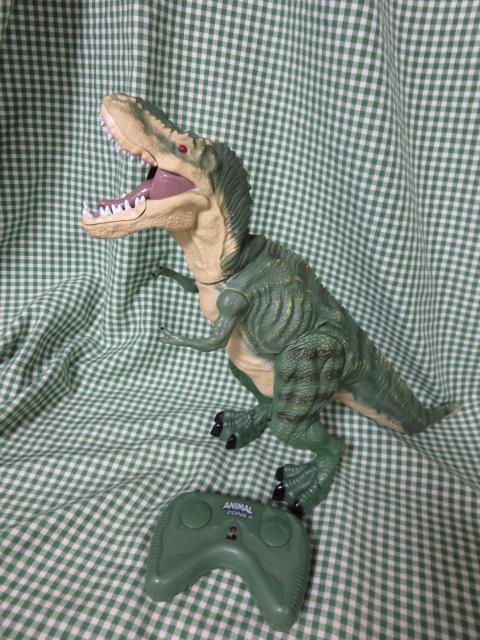 アニマルゾーン RCティーレックス ジャンク の写真1