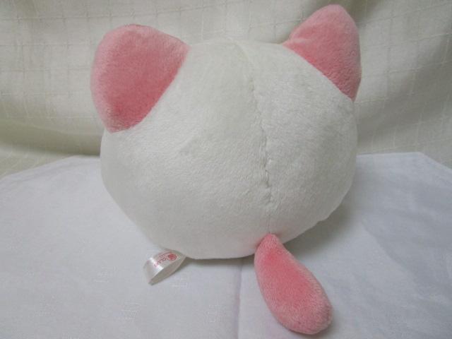 ܂˂CLUB ʂ sN 16cm ̎ʐ^2
