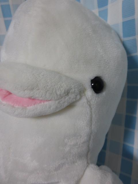 VCJʂ 49cm liV[p_CX ̎ʐ^3