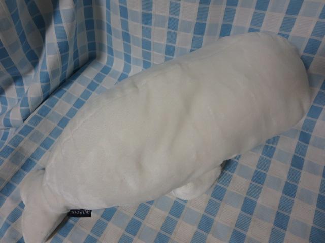 VCJʂ 49cm liV[p_CX ̎ʐ^4
