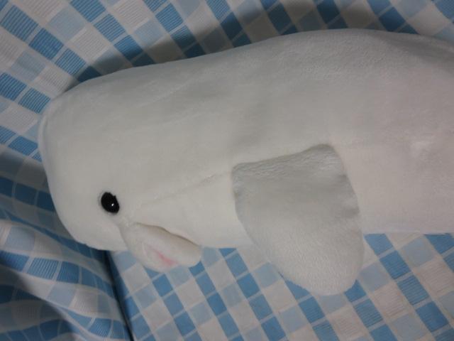 VCJʂ 49cm liV[p_CX ̎ʐ^5